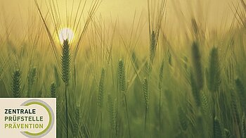 Bild: Zentrale Prüfstelle für Präventation (ZPP)