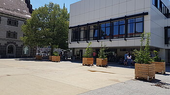 Bild:  Einsteinhaus mit Bäumen