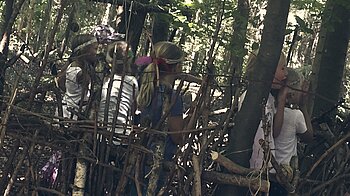 Bild: Mädchen spielen Verstecken im Wald