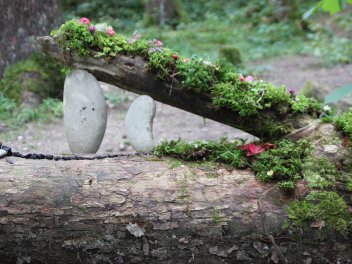Ein Ast mit Blüten und Moos wird von zweit Steinen gehalten