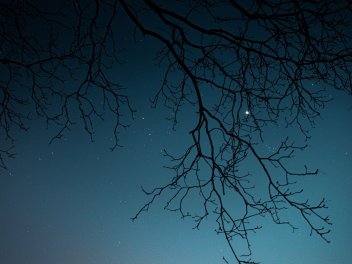 Sternenhimmel bei Nacht